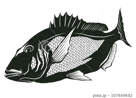 鯛のシンプル魚イラスト 鯛のシンプル魚イラスト 107689682