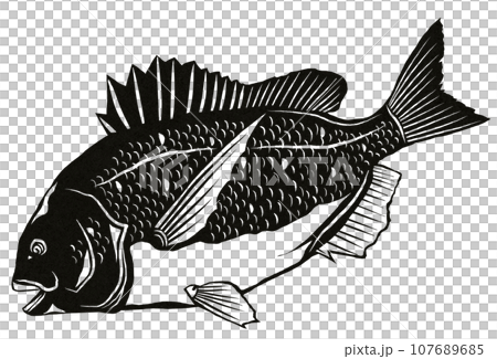 Simple black and white illustration of sea bream 107689685
