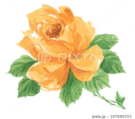 水彩で描いた黄色の薔薇231011pix7 水彩で描いた黄色の薔薇231011pix7 107690355