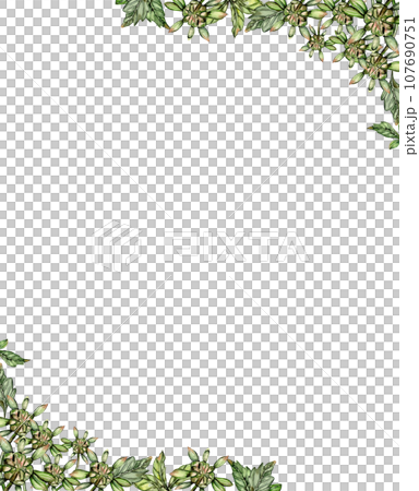 Flowers square frame with dahlia, watercolor illustration for cards, backgrounds, scrapbooking. Hand drawn background with flower for your design. Perfect for wedding invitation. 107690751
