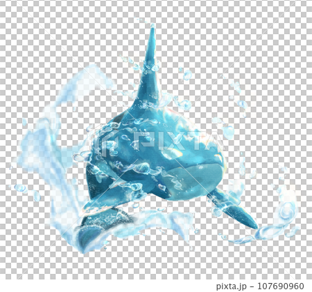 Killer whale + water effect 107690960