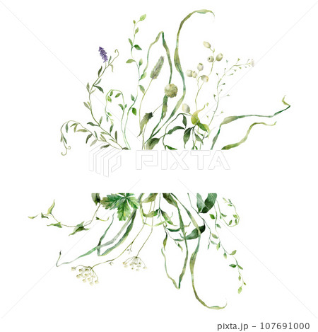 Watercolor horizontal frame of meadow flowers and grasses. Hand painted floral illustration isolated on white background. For design, print, fabric or background. 107691000