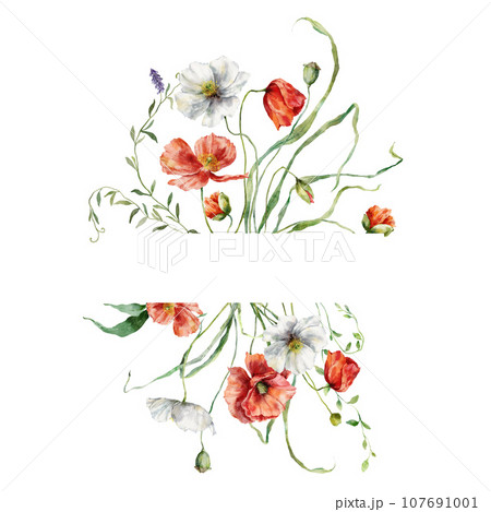 Watercolor horizontal frame of meadow flowers, white and red poppies. Hand painted floral illustration isolated on white background. For design, print, fabric or background. 107691001