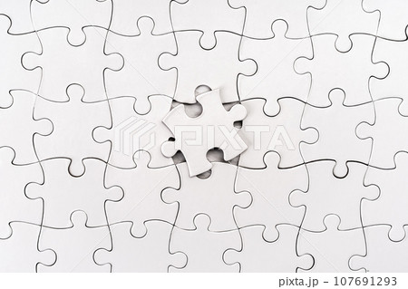 Empty jigsaw puzzle 107691293