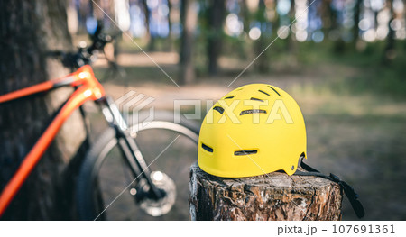 Bicycle helmet on stump in forest 107691361