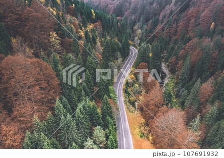 Picturesque forest with highway Picturesque forest with highway 107691932