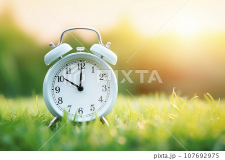 Alarm clock on the background of a summer landscape. Alarm clock on the background of a summer landscape. 107692975