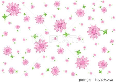 Illustration Pattern of pink flower with leaves on white background. 107693238