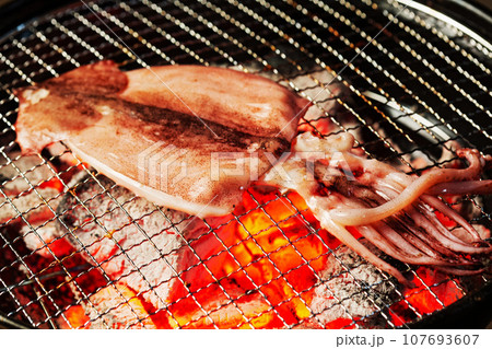 スルメイカの一夜干し 107693607