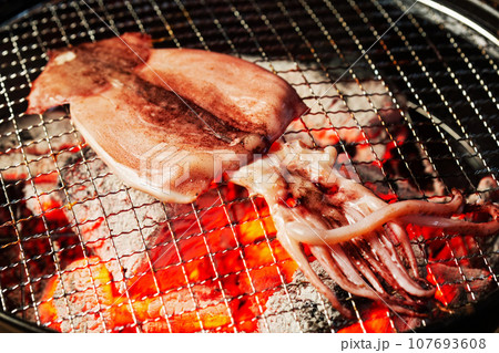 スルメイカの一夜干し 107693608