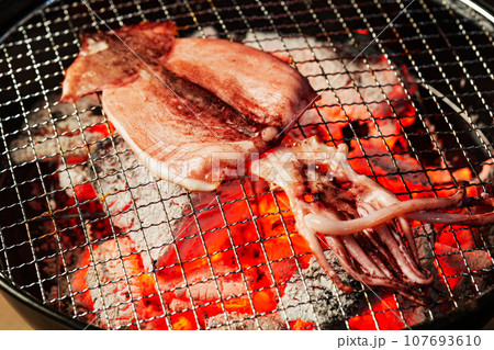 スルメイカの一夜干し 107693610