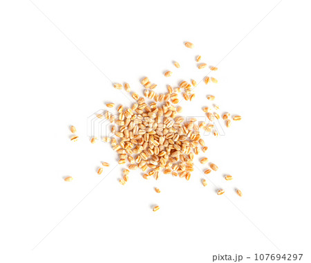 Wheat Grains, Barley Pile, Dry Cereal Seeds, Wheat Grains Heap on White Wheat Grains, Barley Pile, Dry Cereal Seeds, Wheat Grains Heap on White 107694297