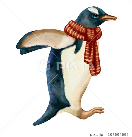 Illustration of south pole animals  107694692
