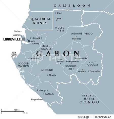 Gabon, gray political map with provinces. Gabonese Republic, with capital Libreville. Central African country bordered by Equatorial Guinea, Cameroon, Republic of the  Congo, and the Gulf of Guinea. 107695632