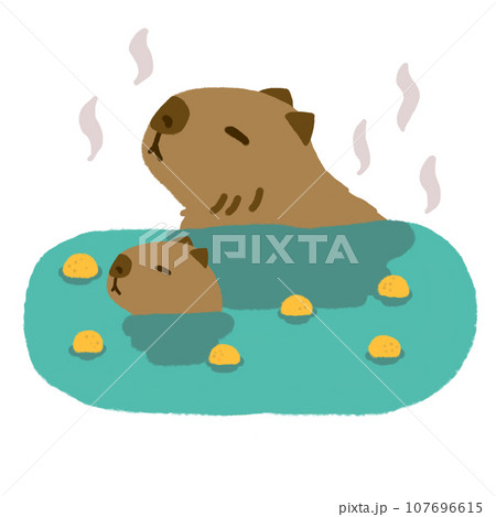 カピバラ温泉 カピバラ温泉 107696615