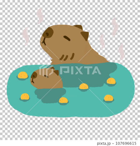 カピバラ温泉 カピバラ温泉 107696615