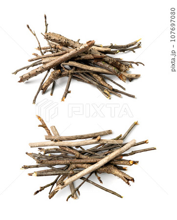 Branches Pile Isolated Branches Pile Isolated 107697080