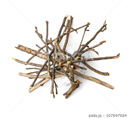 Branches Pile Isolated Branches Pile Isolated 107697084