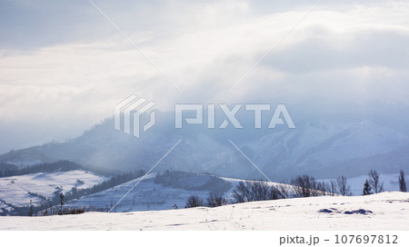 mountainous carpathian countryside in winter. rolling landscape with snow covered hills. misty weather with clouds above the ridge mountainous carpathian countryside in winter. rolling landscape with snow covered hills. misty weather with clouds above the ridge 107697812