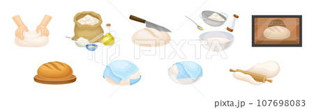 Kneading Dough for Bread Cooking and Preparation Vector Set Kneading Dough for Bread Cooking and Preparation Vector Set 107698083