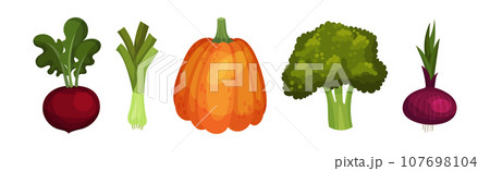 Ripe and Fresh Vegetables and Garden Crop Vector Set Ripe and Fresh Vegetables and Garden Crop Vector Set 107698104