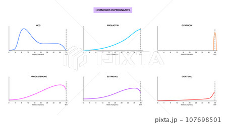Hormones in pregnancy Hormones in pregnancy 107698501