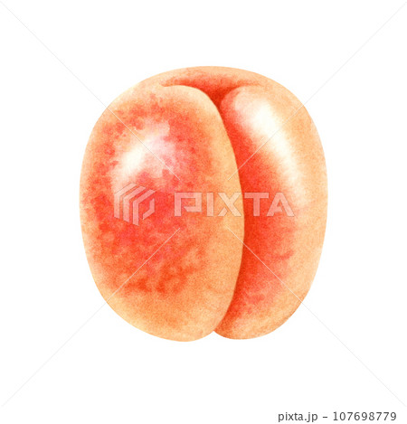 Watercolor bright orange apricot 107698779