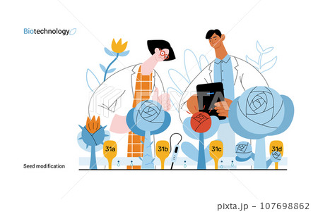 Bio Technology, Seed Modification -modern flat vector concept illustration of scientists analysing genetic modificated variants of a plant. Metaphor of direct impact of GMO on vegetation Bio Technology, Seed Modification -modern flat vector concept illustration of scientists analysing genetic modificated variants of a plant. Metaphor of direct impact of GMO on vegetation 107698862