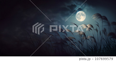 中秋の名月とすすき AI生成画像 中秋の名月とすすき AI生成画像 107699579