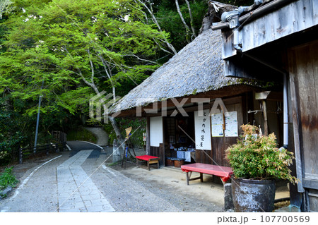 とがの木茶屋(野中の一方杉)　【和歌山県田辺市中辺路町】 107700569