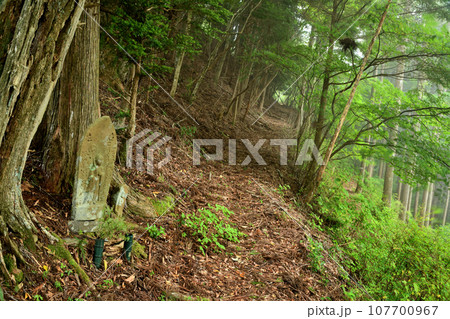 平辻の地蔵尊(熊野古道・小辺路)　【奈良県野迫川村】 107700967