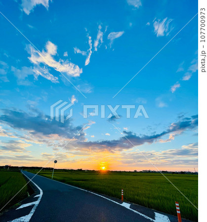夏の夕暮れの田舎道 夏の夕暮れの田舎道 107700973