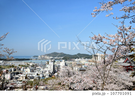 紀三井寺(和歌浦方面を望む)　【和歌山県和歌山市】 107701091