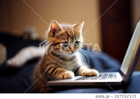 飼い主のためにレジュメをまとめておいてくれる猫 107702515