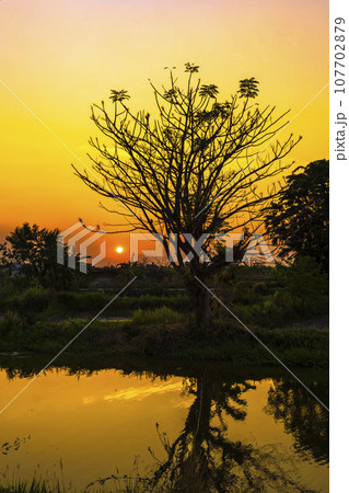 A view of clear sky sunset in Benowo, Surabaya, East Java. A view of clear sky sunset in Benowo, Surabaya, East Java. 107702879