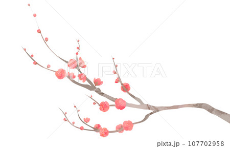 梅の枝のイラスト 107702958