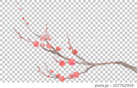 梅の枝のイラスト 107702958