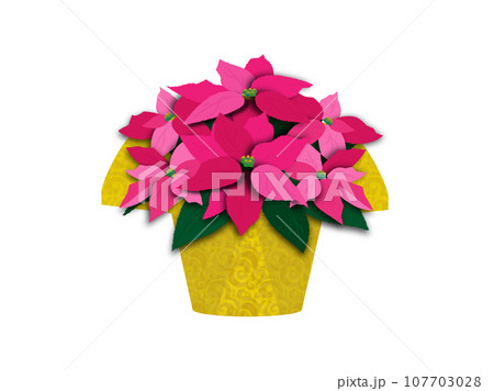 クリスマス用に包装されたピンク色のポインセチアの鉢植え 107703028
