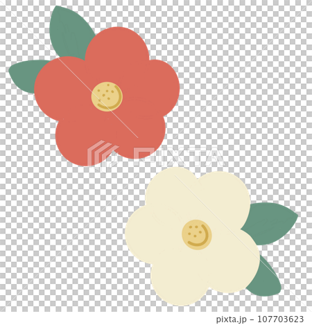 簡單的山茶花圖 簡單的山茶花圖 107703623