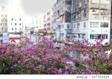 Sept 23 2023 Thriving Urban Hub in the Heart of Tsuen Wan, HK 107703924