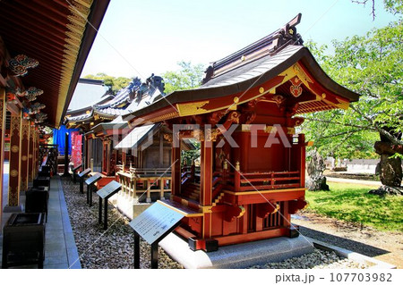 日本唯一の夢叶え大明神・大杉神社 日本唯一の夢叶え大明神・大杉神社 107703982