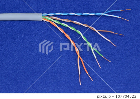 LANケーブル CAT5e UTP 単線　 107704322