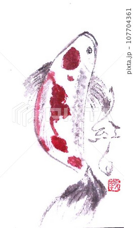 鯉　イラスト　墨絵筆で書きました 107704361