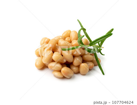 White Kidney Beans Isolated White Kidney Beans Isolated 107704624