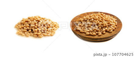 White Kidney Beans Isolated White Kidney Beans Isolated 107704625