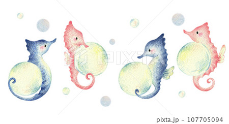 泡を持つタツノオトシゴ　手描き色鉛筆画 107705094