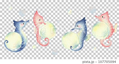 Seahorse with bubbles, hand-drawn colored pencil drawing 107705094