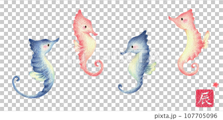 Set of stamps for the year of the seahorse and the year of the dragon, hand-drawn colored pencil drawing 107705096