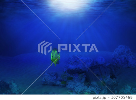 3D Underwater coral reef 3D Underwater coral reef 107705469