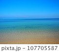 南国の海 107705587